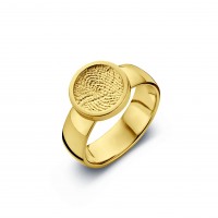 ring, fingerprint, fingerabdrück, vingeradruk, bliss 2, gold, goud, yellow,