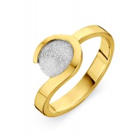 ring, fingerprint, fingerabdrück, vingeradruk, allure, gold, goud, white, yellow