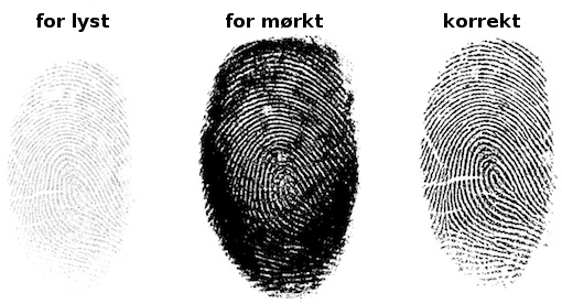 Example Fingerprint